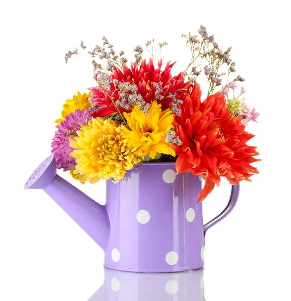 Purple watering can with white polka-dot with flowers isolated on white — Stock Photo, Image