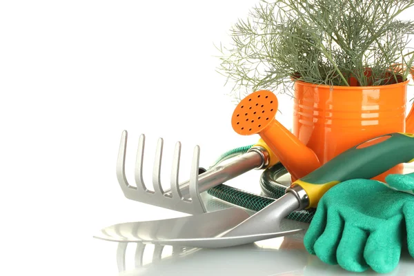 Garden tools on white background close-up Stock Image