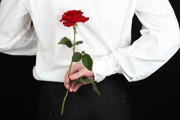 Man holding rose close-up — Stock Photo, Image