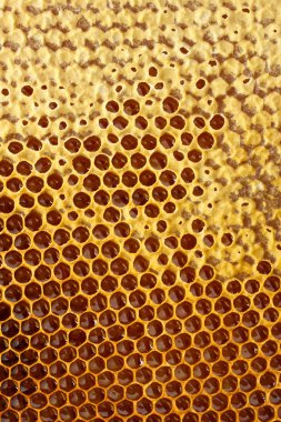 gele mooie honingraat met honing, achtergrond