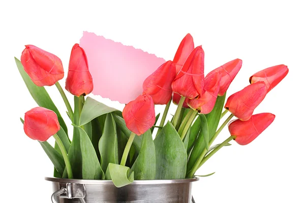 Mooie tulpen in emmer geïsoleerd op wit — Stockfoto
