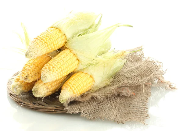 Čerstvá kukuřice, izolované na bílém — Stock fotografie