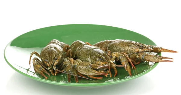 Green crayfishes on the plate isolated on white — Stock Photo, Image