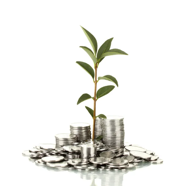 Plant growing out of silver coins isolated on white — Stock Photo, Image