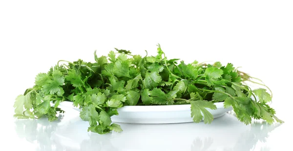 Coriander in a white plate isolated on white — Stock Photo, Image
