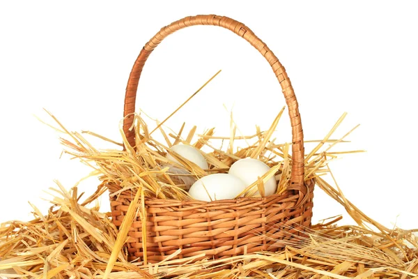 Huevos blancos en una cesta de mimbre sobre paja sobre fondo blanco —  Fotos de Stock