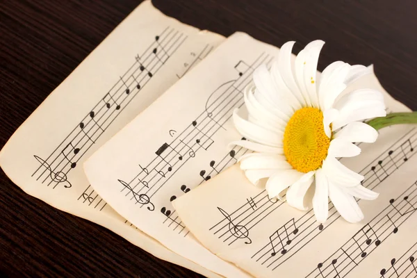 Notas musicais e flor na mesa de madeira — Fotografia de Stock