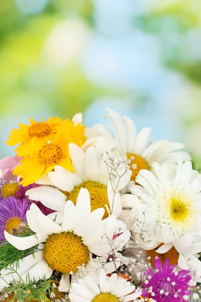 Vacker bukett av ljusa blommor, på träbord på gröna ba — Stockfoto