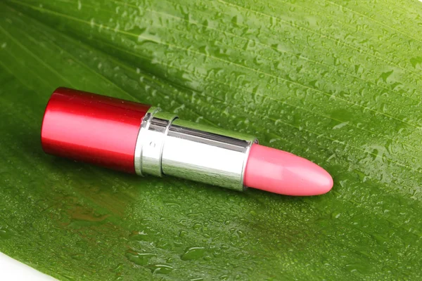 Lipstick on green leaf close-up — Stock Photo, Image