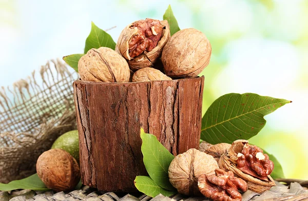 Nueces con hojas verdes en el jardín, sobre fondo verde — Foto de Stock