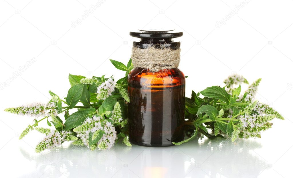 Essential oil and mint isolated on white