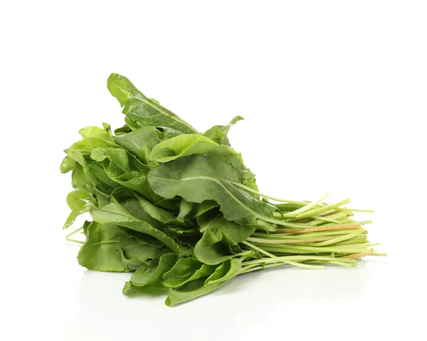 Fresh sorrel isolated on white — Stock Photo, Image