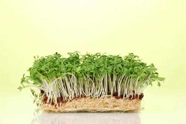 Fresh cress salad on green background — Stock Photo, Image