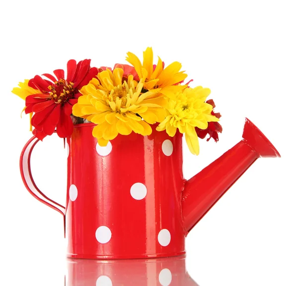 Bouquet of beautiful summer flowers in watering can, isolated on white — Stock Photo, Image