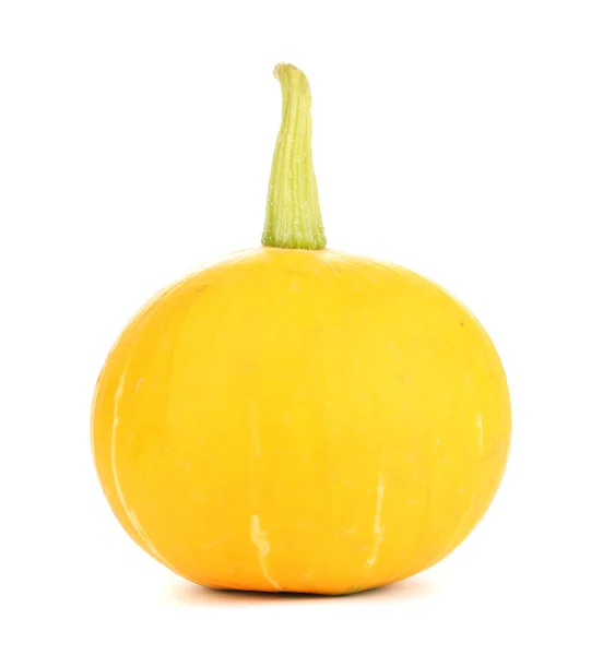 Zucca isolata su bianco — Foto Stock