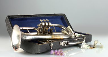 gri arka plan üzerinde para ile müzik aleti