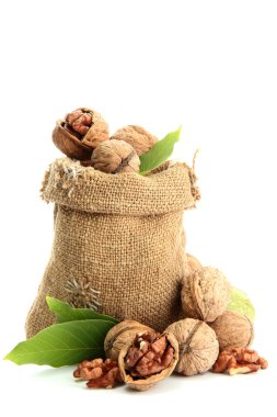 yeşil yaprakları üzerinde beyaz izole çuval bezi çanta, cevizli