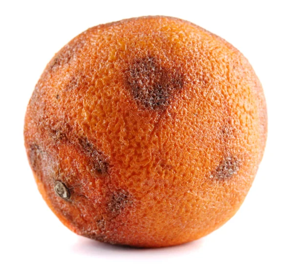 白で隔離される腐ったオレンジ — ストック写真
