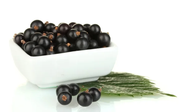 Cassis frais dans un bol blanc isolé sur blanc — Photo