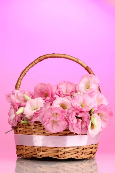 Bouquet of eustoma flowers in basket, on pink background — Stock Photo, Image