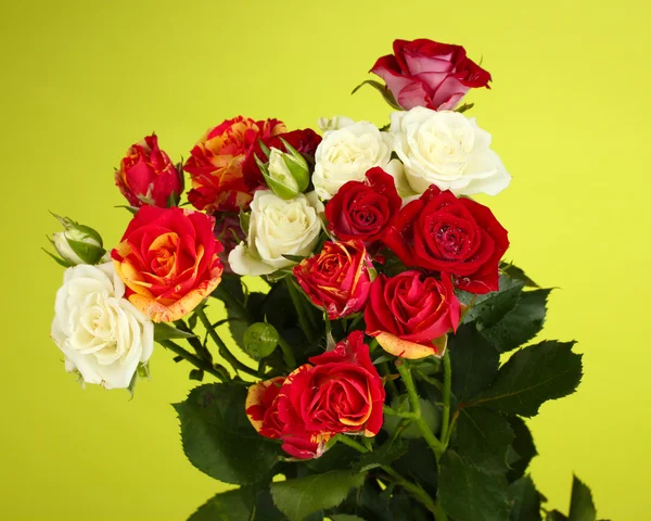 Buquê de belas rosas no fundo verde close-up — Fotografia de Stock