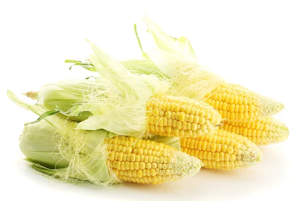 Fresh corn, isolated on white — Stock Photo, Image