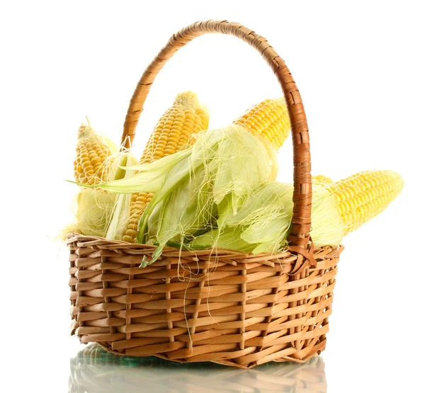 Maïs frais dans le panier, isolé sur blanc — Photo