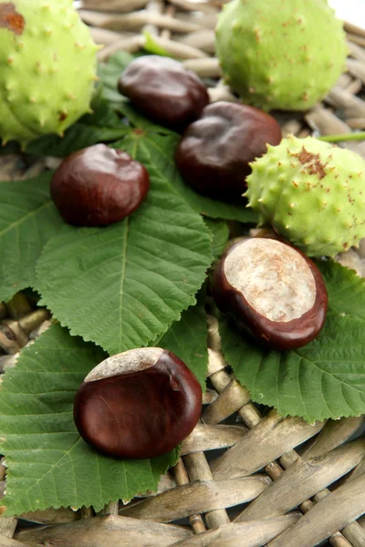 Castanhas com folhas no fundo de vime — Fotografia de Stock