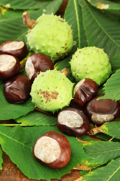 Castagne con foglie, su fondo di legno — Foto Stock