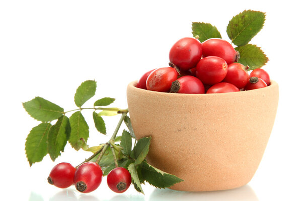 ripe hip roses with leaves in cup, isolated on white