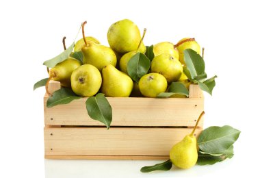 beyaz izole kutusunda sulu flavorful armut