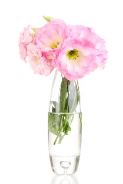 buket üzerinde beyaz izole eustoma çiçek vazosu,