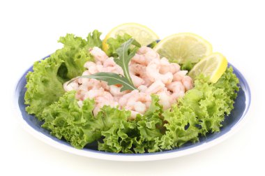 plaka üzerinde beyaz izole lezzetli Marine karides