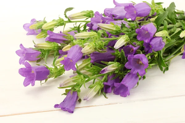 Flores sino azul no fundo de madeira branco — Fotografia de Stock