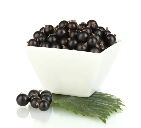 Fresh black currant in white bowl isolated on white — Stock Photo, Image