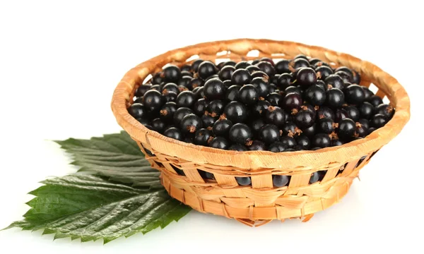 Fresh black currant in wicker basket isolated on white — Stock Photo, Image