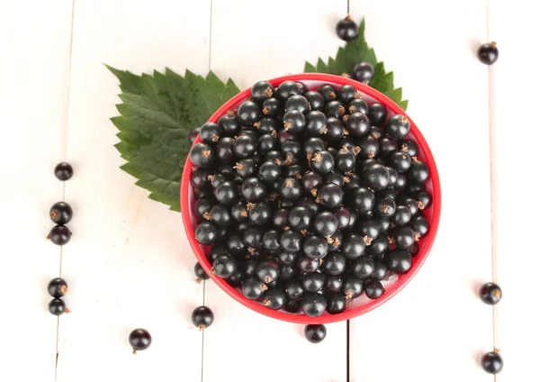 Fresh black currant in colorful bowl on white wooden background close-up — Stock Photo, Image