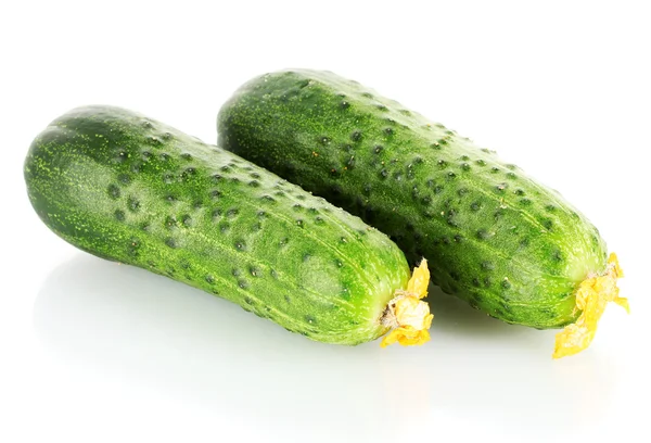 Fresh cucumbers isolated on white — Stock Photo, Image