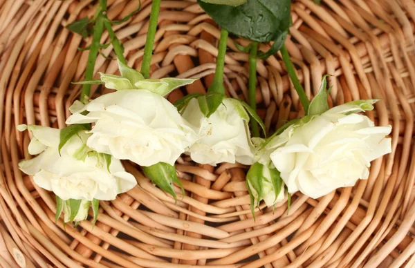 Hermosas rosas blancas en alfombra de mimbre de cerca — Foto de Stock