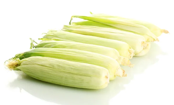 Fresh corn, isolated on white — Stock Photo, Image