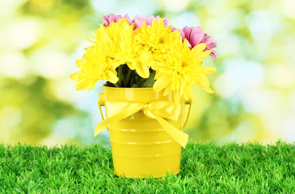Beautiful bouquet of chrysanthemums in a bright colorful bucket on green b — Stock Photo, Image