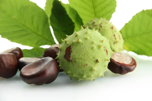 Castagne con foglie, isolate su bianco — Foto Stock