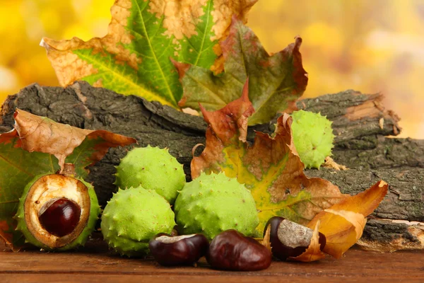 Castañas con hojas secas de otoño y corteza — Foto de Stock