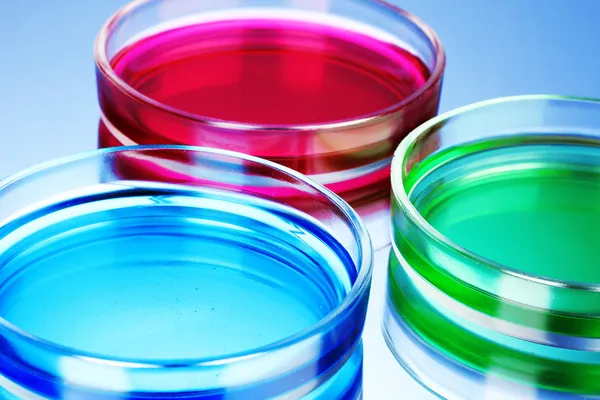 Color liquid in petri dishes on blue background — Stock Photo, Image