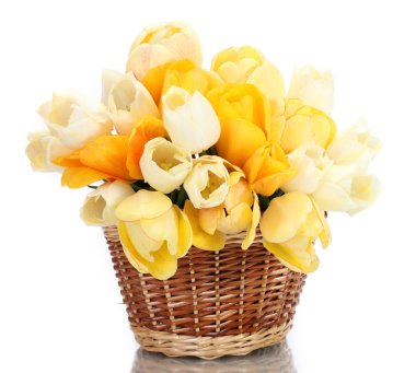 Sepette Beyaz izole güzel laleler