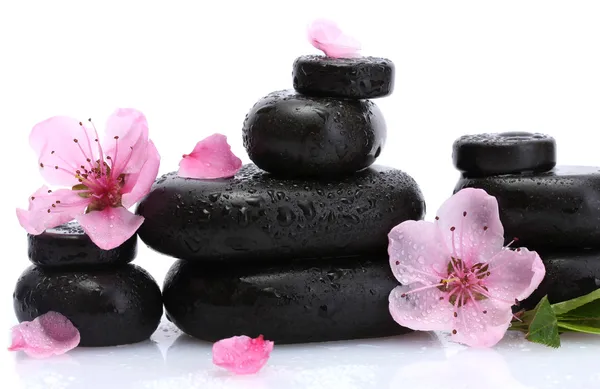 Spa stones with drops and pink sakura flowers isolated on white — Stock Photo, Image