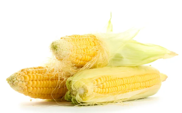 Fresh corn, isolated on white — Stock Photo, Image