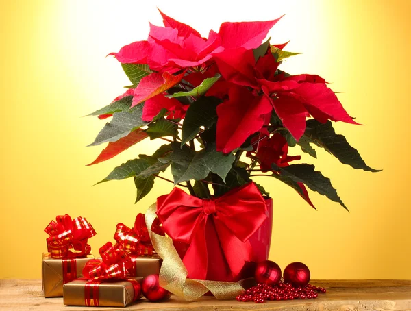 Hermosa poinsettia en maceta, regalos y bolas de Navidad en una mesa de madera — Foto de Stock