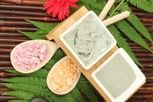 Cosmetic clay for spa treatments close-up — Stock Photo, Image