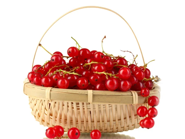 Redcurrants in a basket isolated on white — Stock Photo, Image